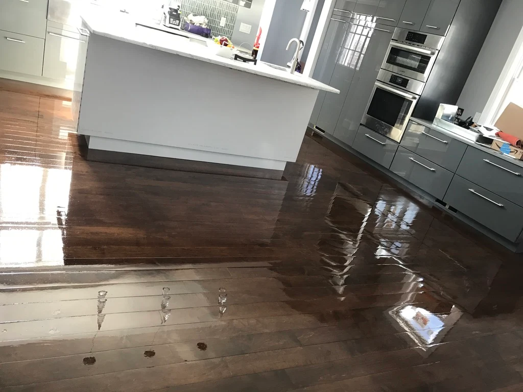 Kitchen with dark hardwood and island